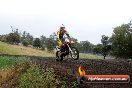 Champions Ride Days MotoX Broadford 24 11 2013 - 6CR_3945