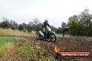 Champions Ride Days MotoX Broadford 24 11 2013 - 6CR_3952