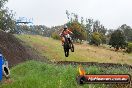 Champions Ride Days MotoX Broadford 24 11 2013 - 6CR_3961