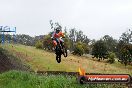 Champions Ride Days MotoX Broadford 24 11 2013 - 6CR_3962