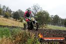 Champions Ride Days MotoX Broadford 24 11 2013 - 6CR_3973