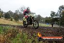 Champions Ride Days MotoX Broadford 24 11 2013 - 6CR_3974