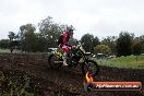 Champions Ride Days MotoX Broadford 24 11 2013 - 6CR_3976