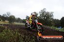 Champions Ride Days MotoX Broadford 24 11 2013 - 6CR_3983