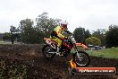 Champions Ride Days MotoX Broadford 24 11 2013 - 6CR_3984