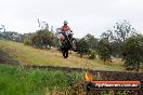 Champions Ride Days MotoX Broadford 24 11 2013 - 6CR_4012