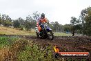 Champions Ride Days MotoX Broadford 24 11 2013 - 6CR_4014