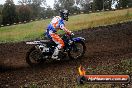 Champions Ride Days MotoX Broadford 24 11 2013 - 6CR_4019