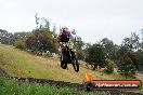 Champions Ride Days MotoX Broadford 24 11 2013 - 6CR_4041