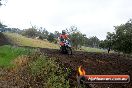 Champions Ride Days MotoX Broadford 24 11 2013 - 6CR_4069