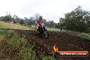Champions Ride Days MotoX Broadford 24 11 2013 - 6CR_4070