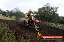 Champions Ride Days MotoX Broadford 24 11 2013 - 6CR_4076