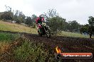Champions Ride Days MotoX Broadford 24 11 2013 - 6CR_4088