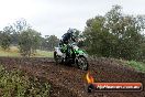 Champions Ride Days MotoX Broadford 24 11 2013 - 6CR_4112