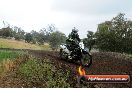 Champions Ride Days MotoX Broadford 24 11 2013 - 6CR_4121