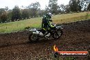 Champions Ride Days MotoX Broadford 24 11 2013