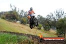 Champions Ride Days MotoX Broadford 24 11 2013 - 6CR_4128