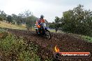 Champions Ride Days MotoX Broadford 24 11 2013 - 6CR_4130