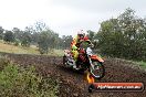 Champions Ride Days MotoX Broadford 24 11 2013 - 6CR_4140