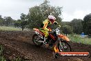 Champions Ride Days MotoX Broadford 24 11 2013 - 6CR_4141