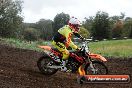 Champions Ride Days MotoX Broadford 24 11 2013 - 6CR_4142