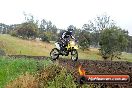 Champions Ride Days MotoX Broadford 24 11 2013 - 6CR_4147