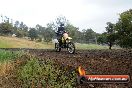 Champions Ride Days MotoX Broadford 24 11 2013 - 6CR_4149