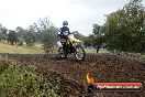 Champions Ride Days MotoX Broadford 24 11 2013 - 6CR_4150
