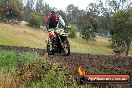 Champions Ride Days MotoX Broadford 24 11 2013 - 6CR_4153