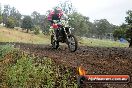 Champions Ride Days MotoX Broadford 24 11 2013 - 6CR_4155