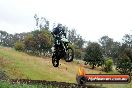 Champions Ride Days MotoX Broadford 24 11 2013 - 6CR_4175