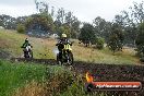 Champions Ride Days MotoX Broadford 24 11 2013 - 6CR_4185