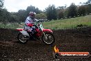 Champions Ride Days MotoX Broadford 24 11 2013 - 6CR_4199