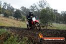 Champions Ride Days MotoX Broadford 24 11 2013 - 6CR_4212