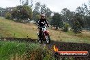 Champions Ride Days MotoX Broadford 24 11 2013 - 6CR_4215