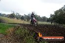 Champions Ride Days MotoX Broadford 24 11 2013 - 6CR_4216