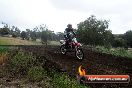 Champions Ride Days MotoX Broadford 24 11 2013 - 6CR_4218