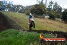 Champions Ride Days MotoX Broadford 24 11 2013 - 6CR_4219
