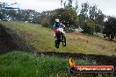 Champions Ride Days MotoX Broadford 24 11 2013 - 6CR_4220