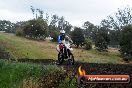 Champions Ride Days MotoX Broadford 24 11 2013 - 6CR_4222