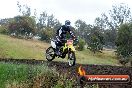 Champions Ride Days MotoX Broadford 24 11 2013 - 6CR_4238