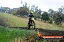 Champions Ride Days MotoX Broadford 24 11 2013 - 6CR_4243