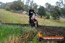 Champions Ride Days MotoX Broadford 24 11 2013 - 6CR_4259