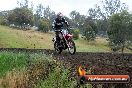 Champions Ride Days MotoX Broadford 24 11 2013 - 6CR_4260