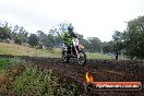 Champions Ride Days MotoX Broadford 24 11 2013 - 6CR_4267