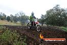Champions Ride Days MotoX Broadford 24 11 2013 - 6CR_4268