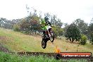 Champions Ride Days MotoX Broadford 24 11 2013 - 6CR_4289