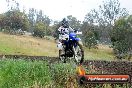 Champions Ride Days MotoX Broadford 24 11 2013 - 6CR_4304