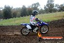 Champions Ride Days MotoX Broadford 24 11 2013 - 6CR_4308