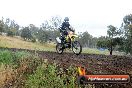 Champions Ride Days MotoX Broadford 24 11 2013 - 6CR_4323